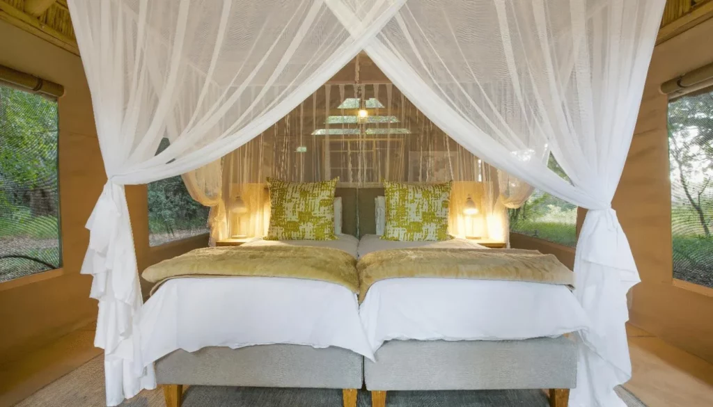 Bateleur Safari Camp — Complete Safari Lodge Guide: Rates, Rooms & What to Expect – Timbavati Game Reserve Bateleur Safari Camp — Complete Safari Lodge Guide: Rates, Rooms & What to Expect – Timbavati Game Reserve