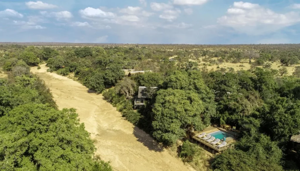 Bateleur Safari Camp — Complete Safari Lodge Guide: Rates, Rooms & What to Expect – Timbavati Game Reserve Bateleur Safari Camp — Complete Safari Lodge Guide: Rates, Rooms & What to Expect – Timbavati Game Reserve