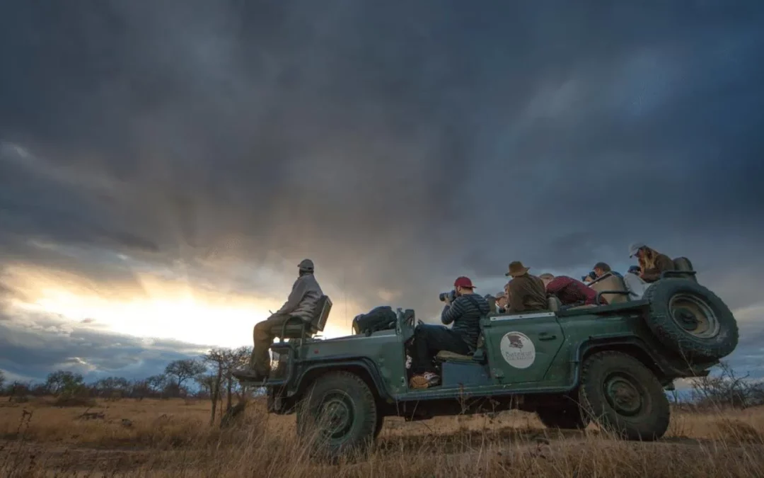 Bateleur Safari Camp — Complete Safari Lodge Guide: Rates, Rooms & What to Expect